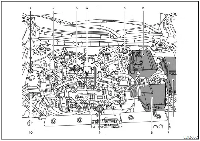 Nissan Altima L34. Illustrated table of contents