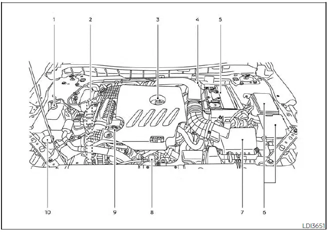 Nissan Altima L34. Illustrated table of contents